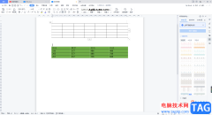WPS Word中制作開放式表格的