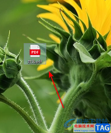 WPS Excel表格輸出為PDF文檔的方法