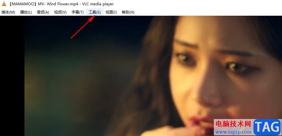 VLC播放器顯示播放信息的方法