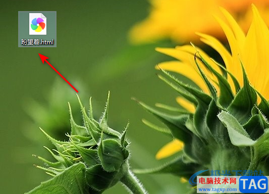 WPS文檔插入GIF動圖的方法
