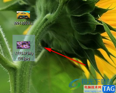 WinZip將壓縮文件解壓的方法教程