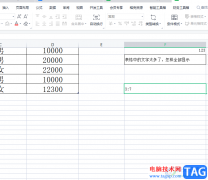 wps表格在單元格中輸入比