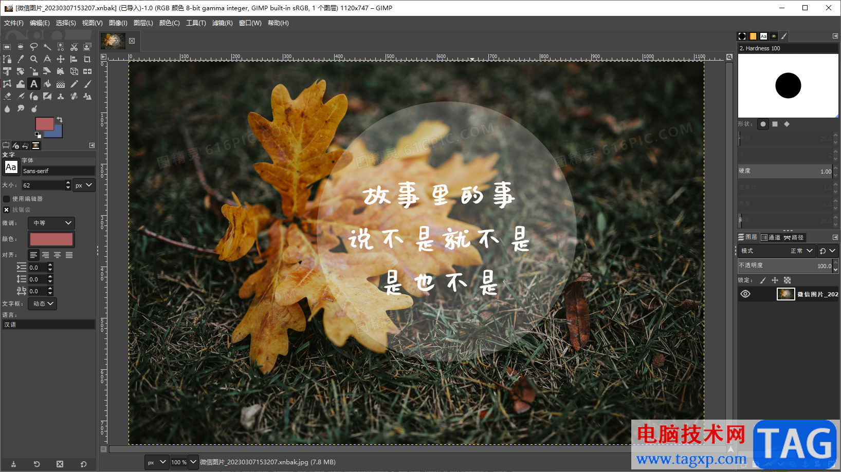 gimp設(shè)置初始縮放比率的方法