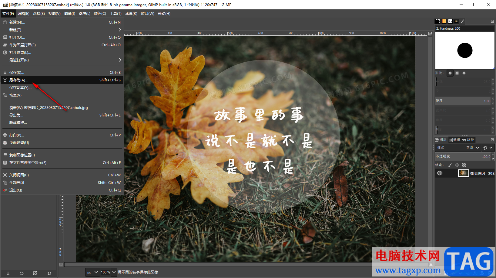 gimp設(shè)置初始縮放比率的方法