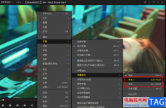 PotPlayer修改字幕字體大小的方法