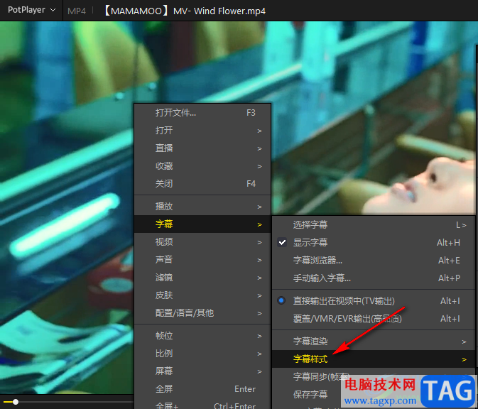 PotPlayer修改字幕字體大小的方法
