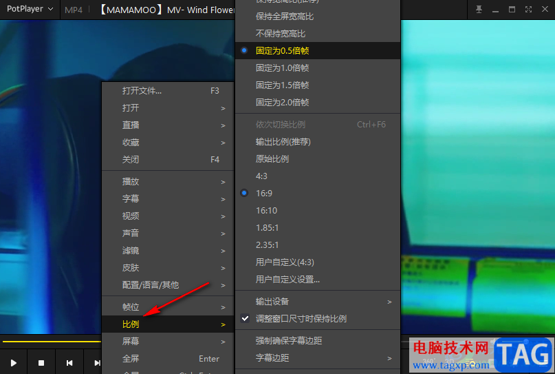 PotPlayer放大與縮小畫面的方法