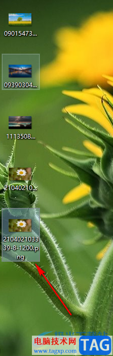 xnview批量轉換圖片格式的方法