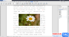 WPS Word中移動(dòng)圖片到任意位
