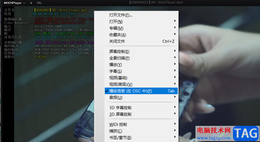 KMPlayer查看視頻播放信息的方法