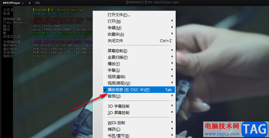 KMPlayer查看視頻播放信息的方法