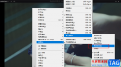 KMPlayer減小視頻噪音的方法