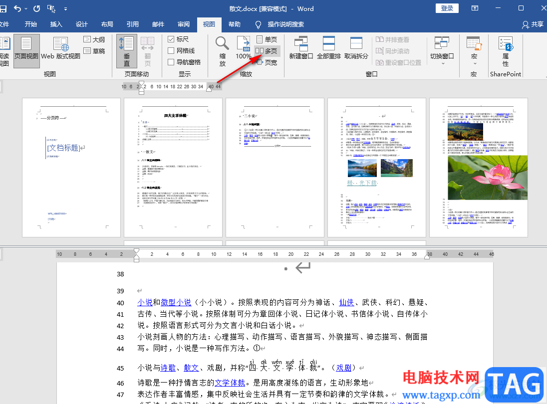 Word分屏顯示的方法