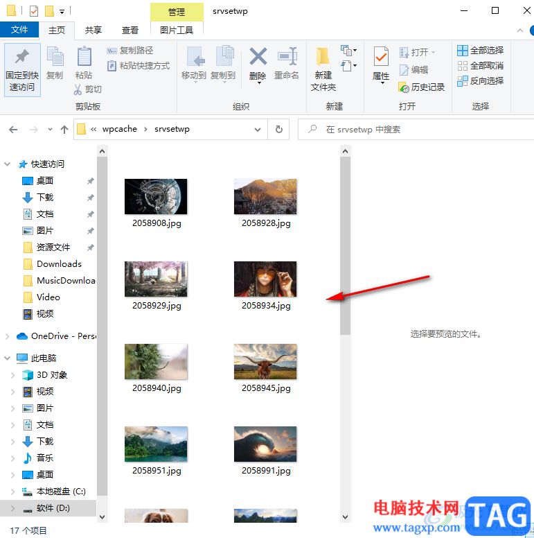小鳥壁紙查看下載的壁紙圖片的方法