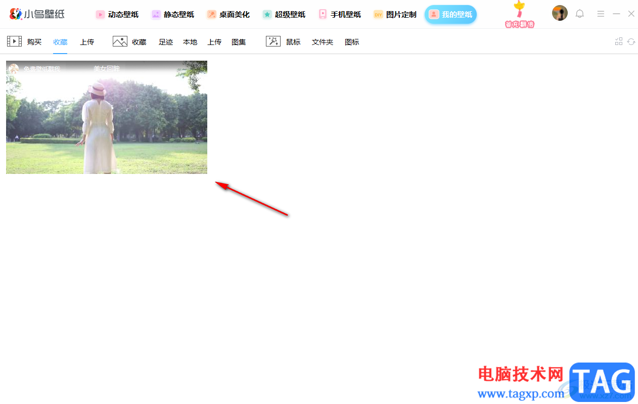 小鳥壁紙收藏當前壁紙的方法