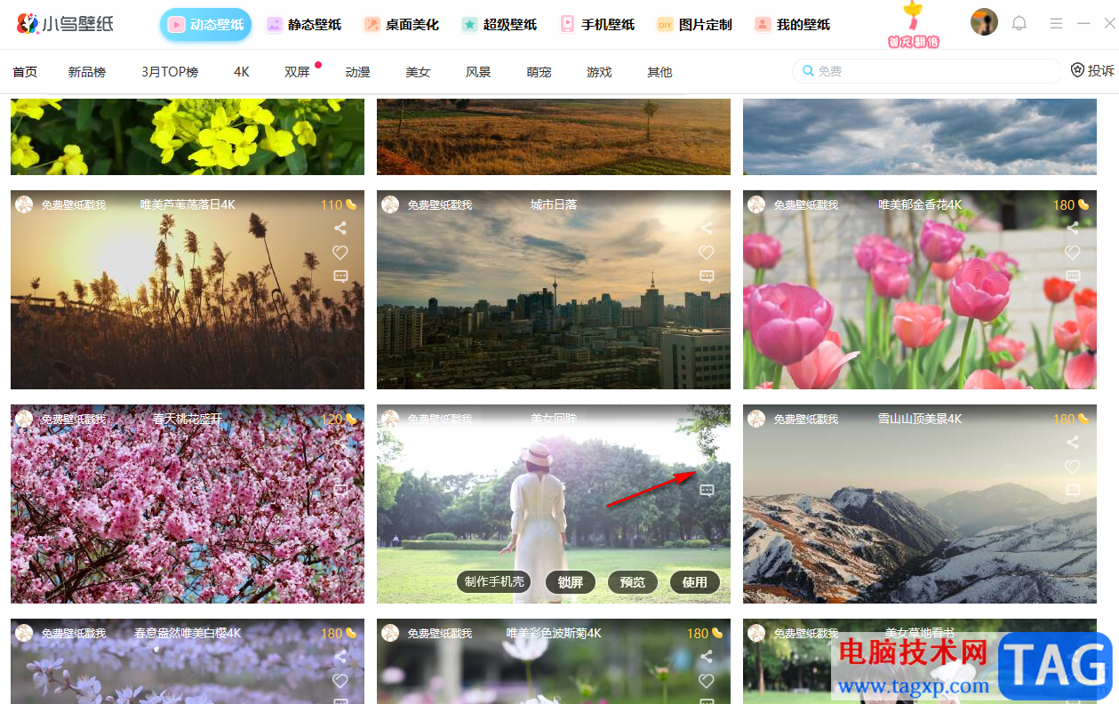 小鳥壁紙收藏當前壁紙的方法