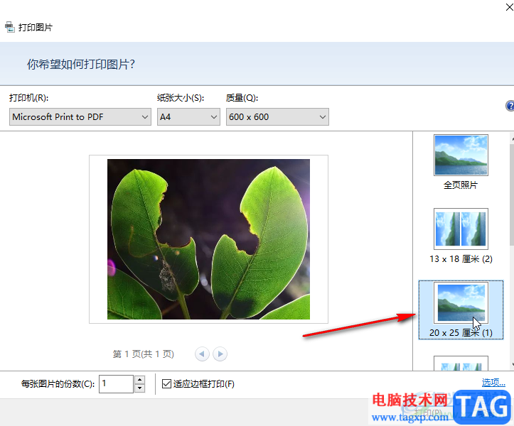 2345看圖王將圖片打印出來的方法教程