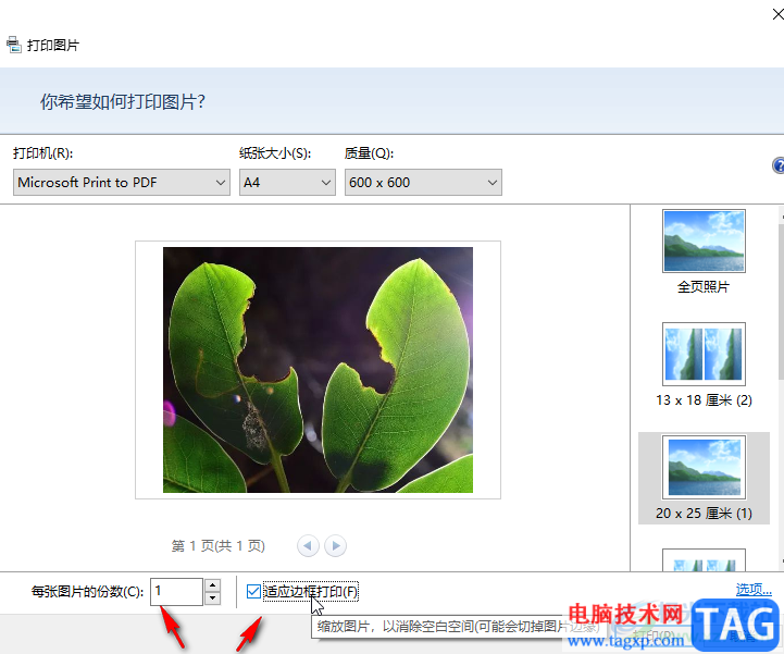 2345看圖王將圖片打印出來的方法教程