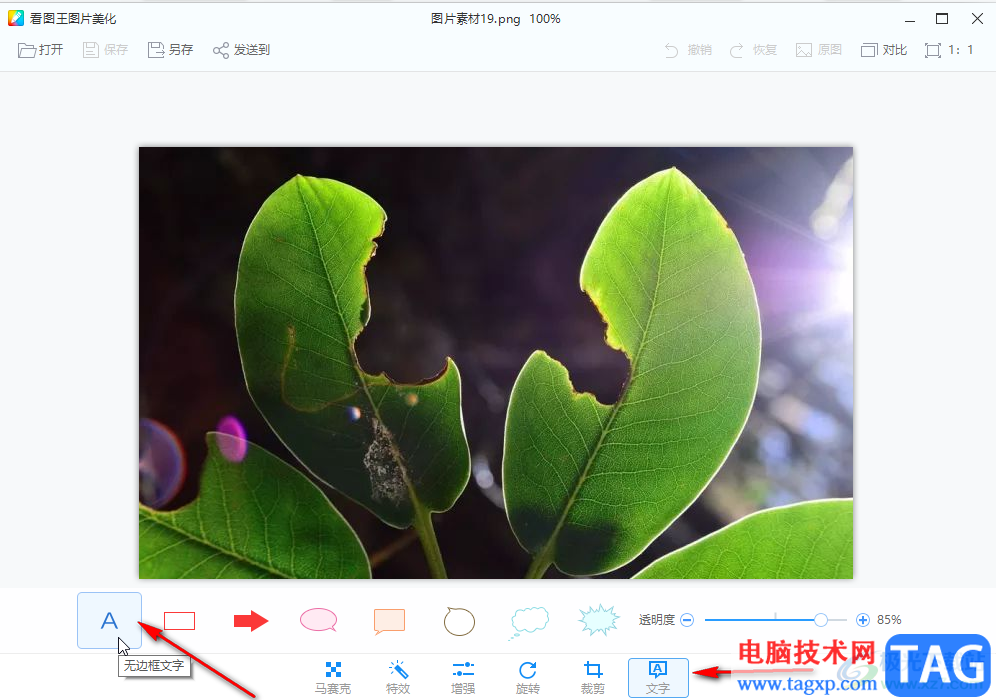 2345看圖王在圖片中添加文字的方法教程