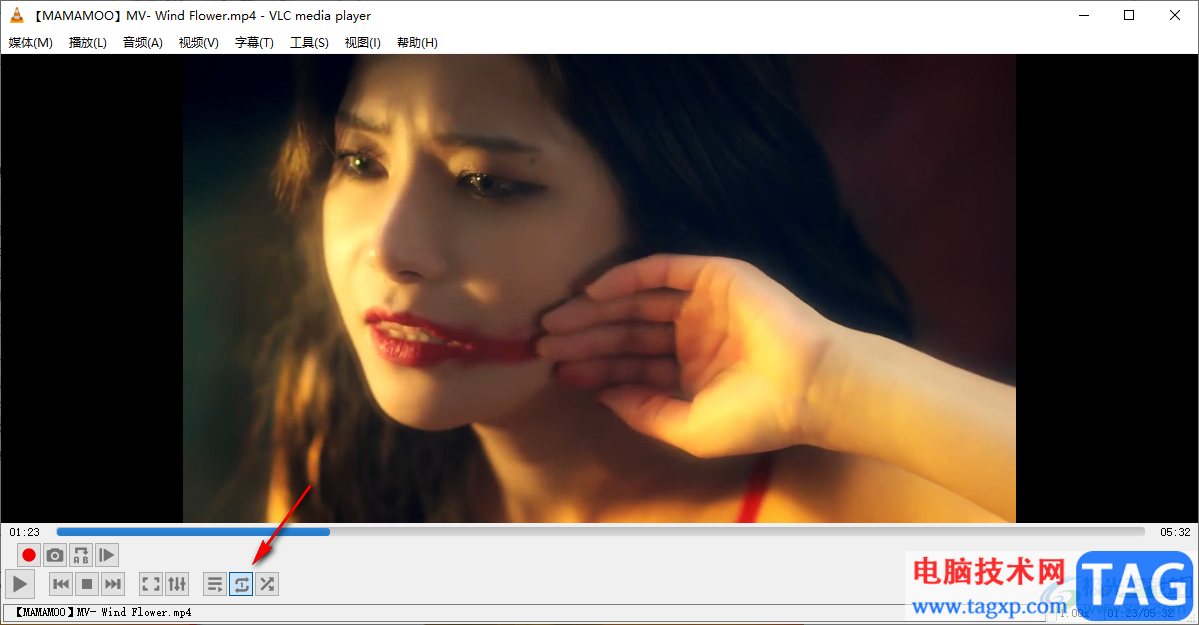 vlc media player設(shè)置循環(huán)播放的方法