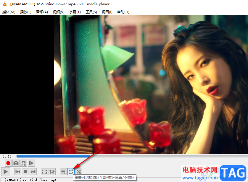 vlc media player設(shè)置循環(huán)播放的方法