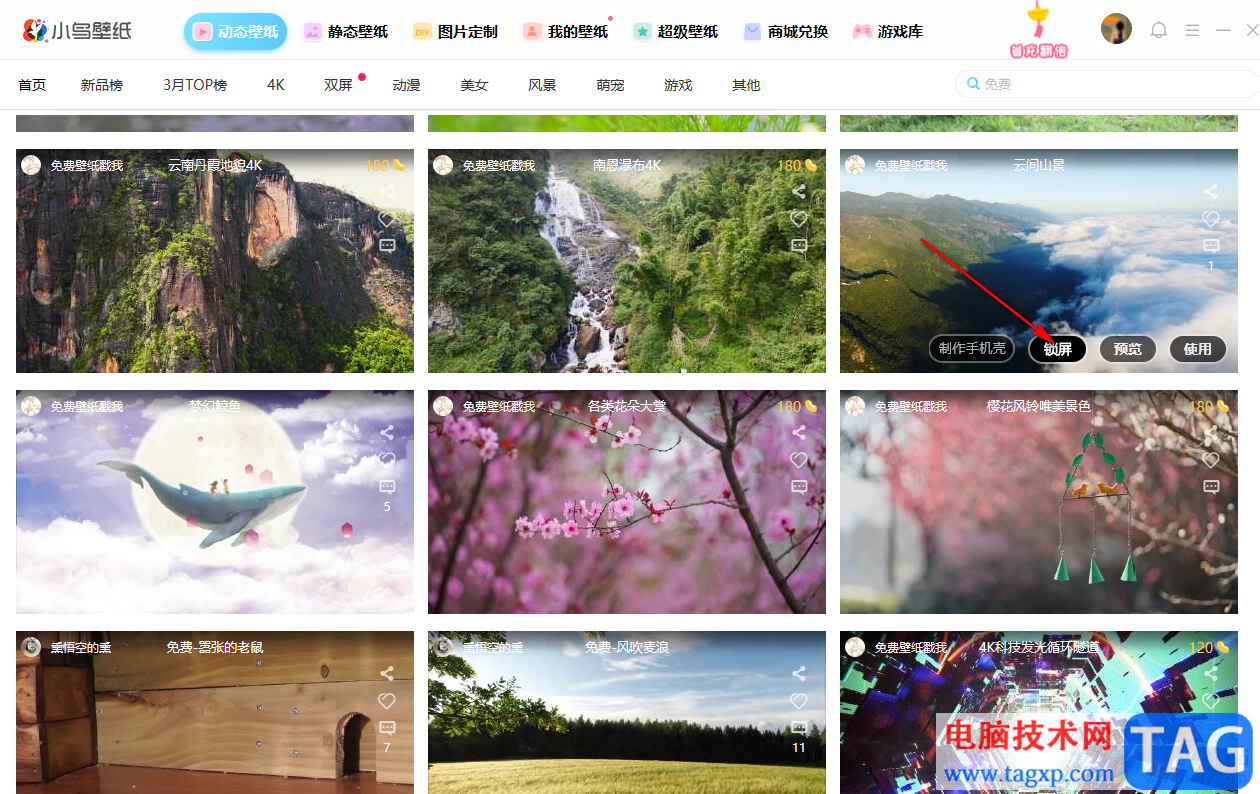 小鳥壁紙設(shè)置免費鎖屏壁紙的方法