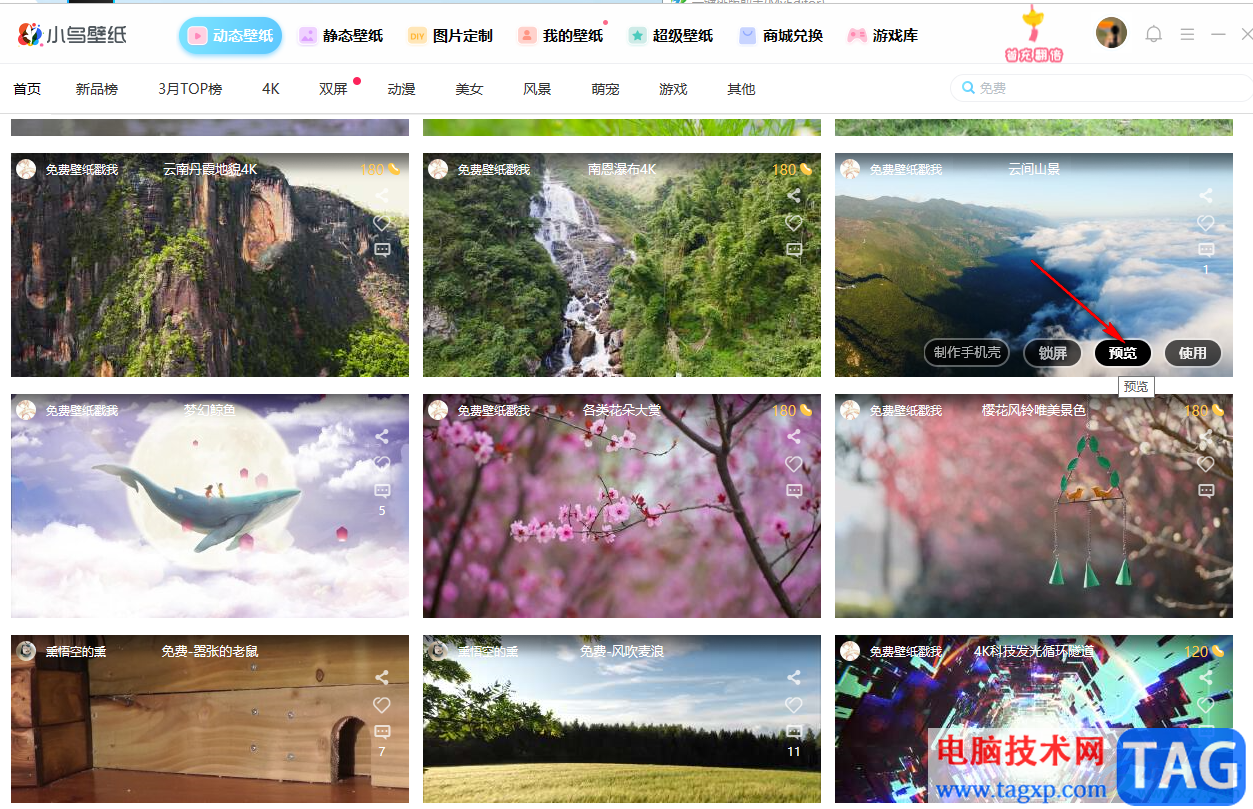 小鳥壁紙設(shè)置免費鎖屏壁紙的方法