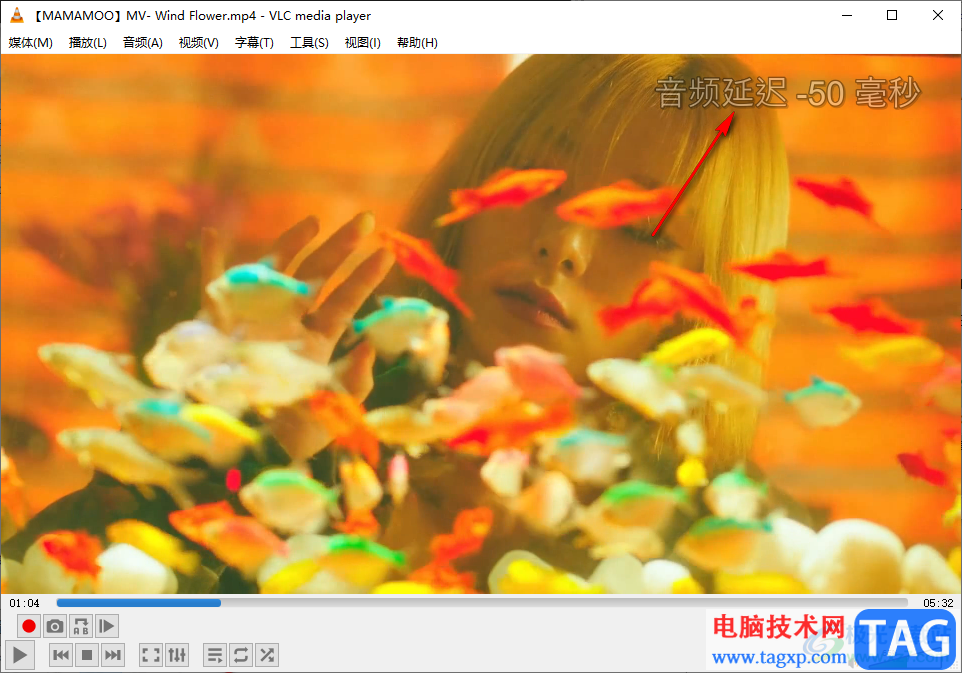 vlc media player解決音畫不同步的方法