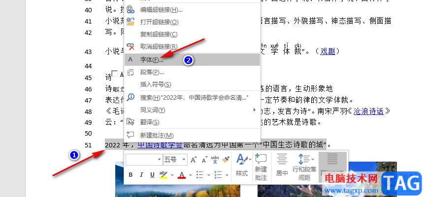 Word設(shè)置西文字體的方法