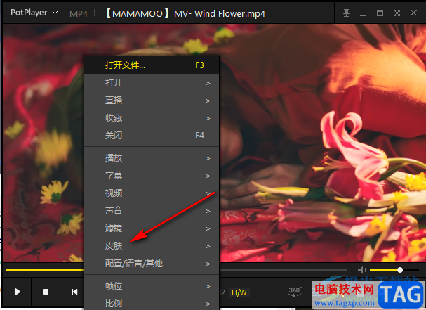 PotPlayer設置視頻不透明度的方法