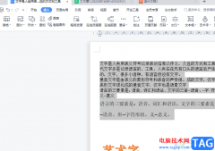 wps文檔讓末尾的標(biāo)點(diǎn)顯示