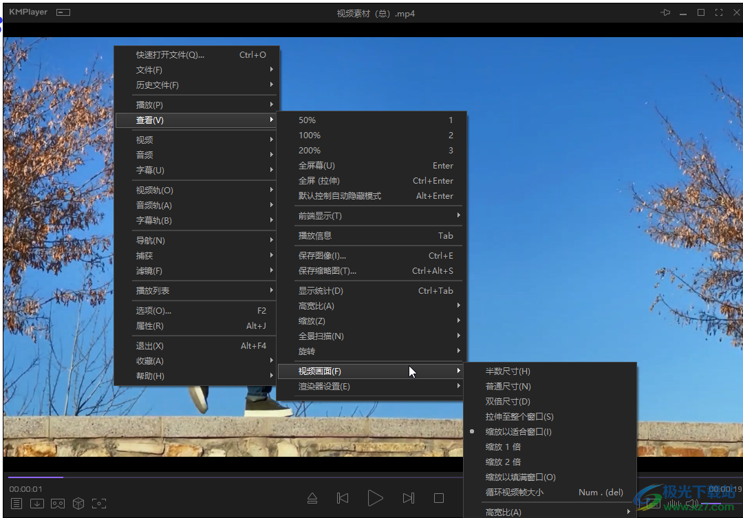 KMplayer倒轉(zhuǎn)畫面的方法教程