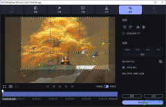 movavi video converter裁剪圖片的方法