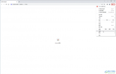 Google Chrome設(shè)置主頁的方法