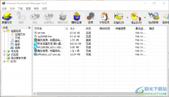 IDM下載器設(shè)置中文的方法