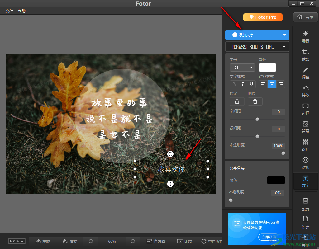 Fotor給圖片添加文字的方法