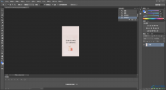 Adobe photoshop快速放大和縮