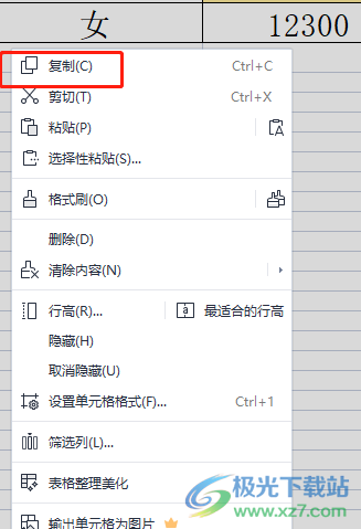 ?wps增加一個(gè)一樣的表格教程