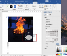 Word給圖片添加馬賽克的方