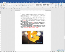 Word文檔取消密碼的方法教