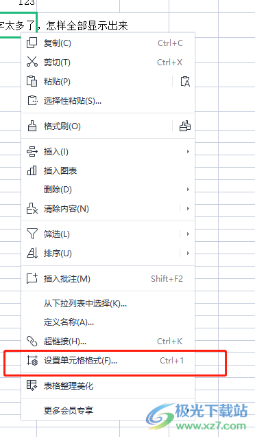 ?wps表格中超出的字隱藏教程