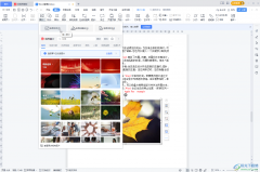 WPS Word給圖片添加水印的方