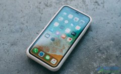 iPhone13設置智能標點的教程