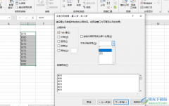 Excel去除數(shù)字前面的撇號的