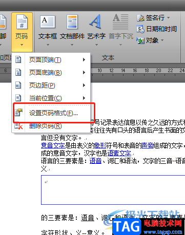 word文檔調(diào)整頁碼數(shù)字類型的教程