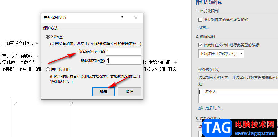 Word開啟文檔保護(hù)的方法