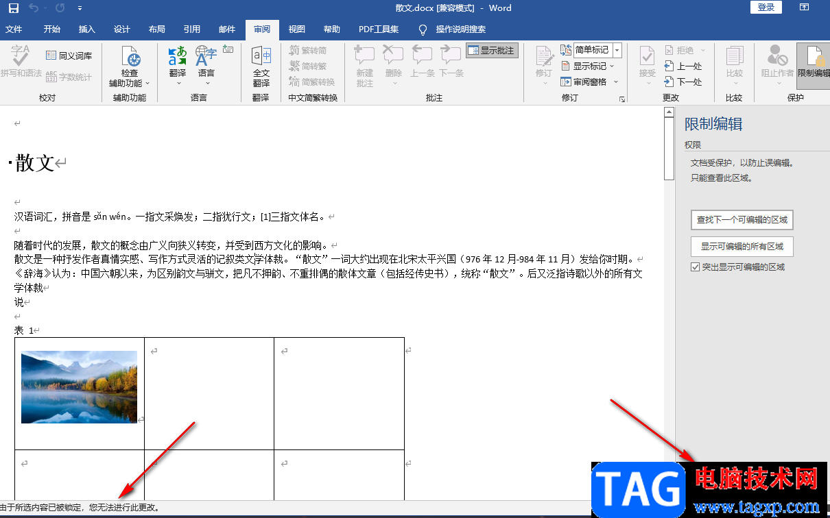 Word開啟文檔保護(hù)的方法
