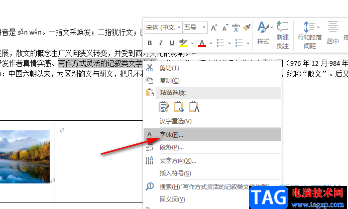 Word隱藏文字內(nèi)容的方法