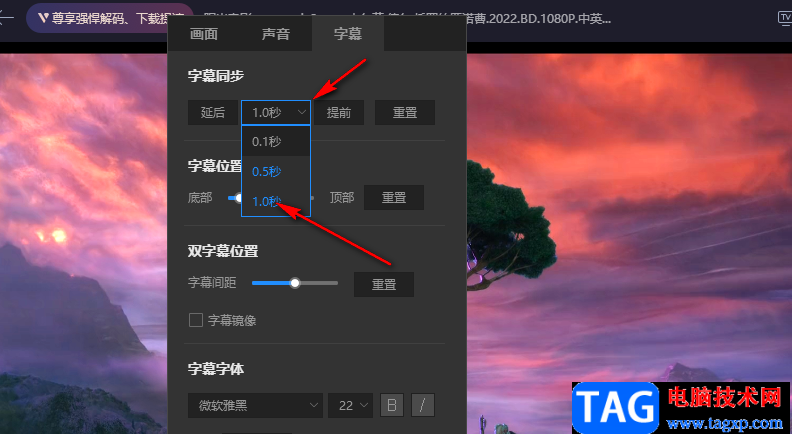 恒星播放器設(shè)置字幕快進(jìn)的方法