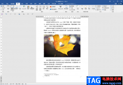 Word文檔圖片和文字融為一體的方法教程